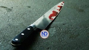 Hombre descuartiza una mujer y guarda restos en nevera y maleta