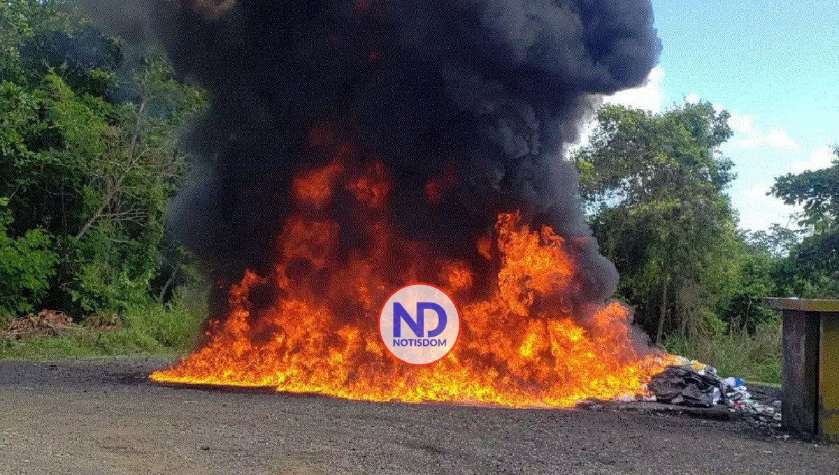 PGR incinera más de 1,060 kilogramos de distintas drogas 2 PGR incinera más de 1,060 kilogramos de distintas drogas