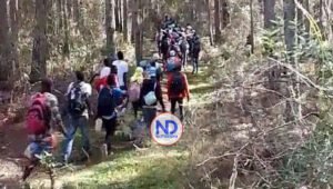 Impacta video más 400 haitianos entrando ilegalmente a RD