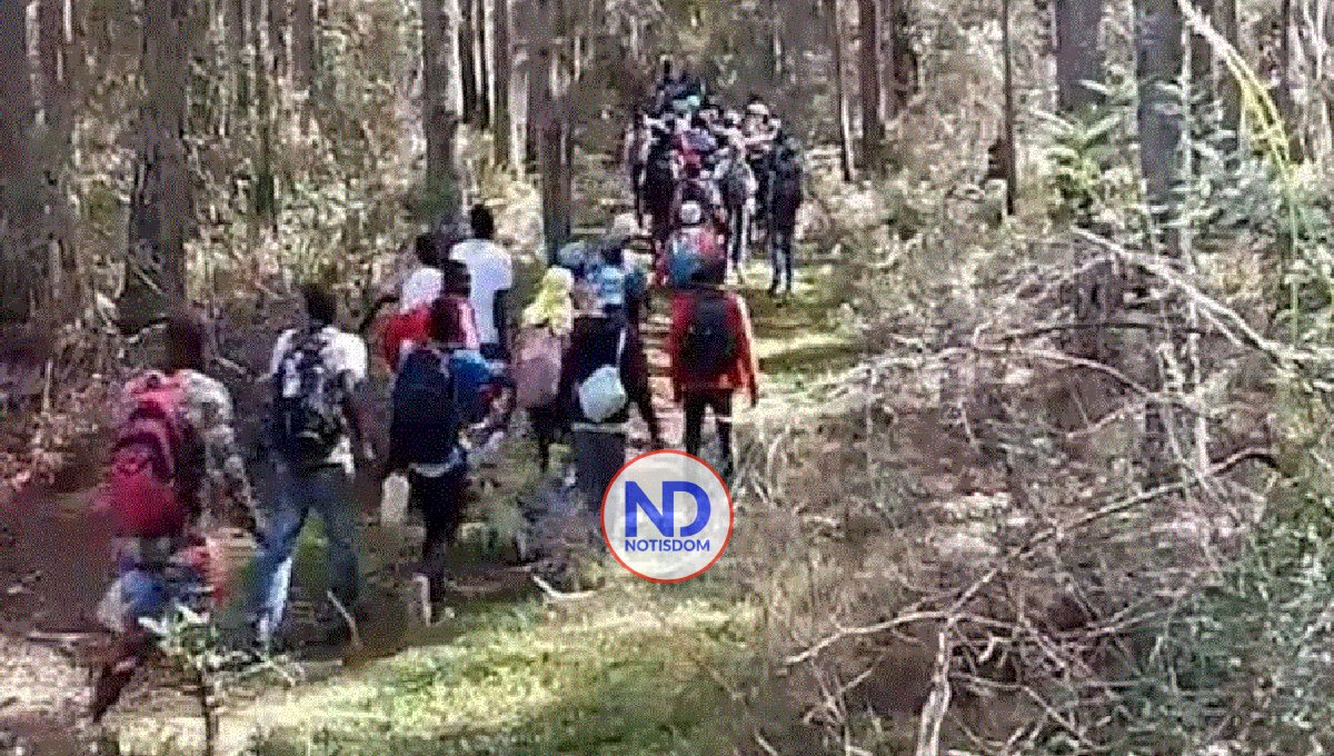 Impacta video más 400 haitianos entrando ilegalmente a RD