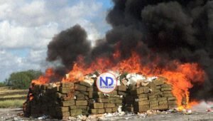 Procuraduría afirma incineró más de 121 kilogramos de narcóticos