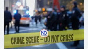 Al menos 7 muertos en dos viviendas por un mismo tirador en EEUU