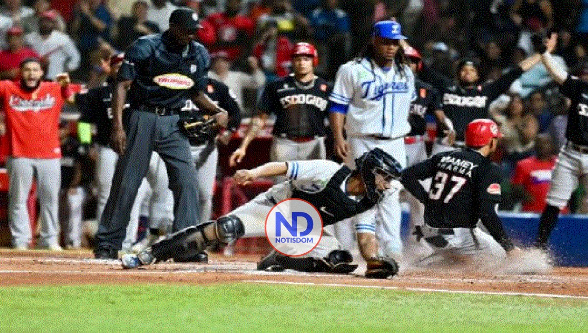 Leones y Gigantes triunfan en el round robin beisbol dominicano
