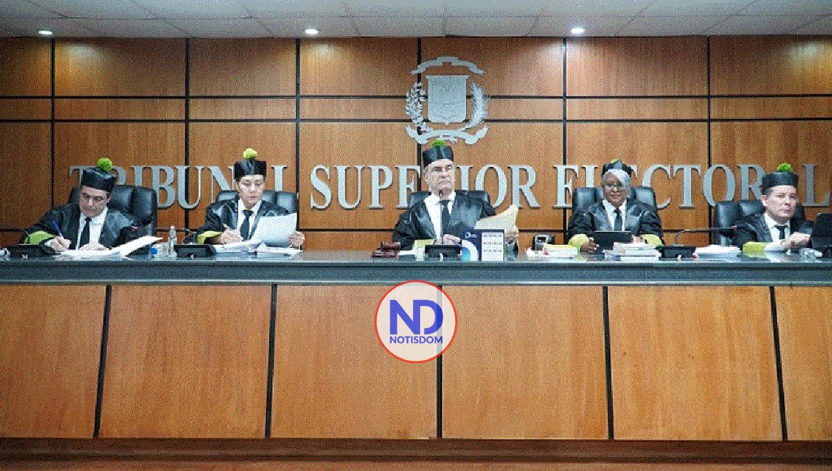 TSE rechaza solicitud abogado expulsó PLD por «alta traición»