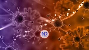 Descubren gen implicado en el alzhéimer está asociado también a la aterosclerosis