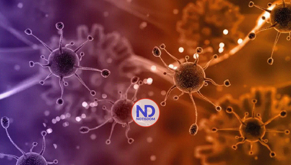 Descubren gen implicado en el alzhéimer está asociado también a la aterosclerosis