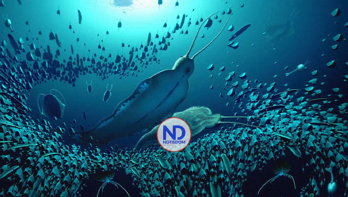 Científicos desvelan detalles de cómo evolucionaron los primeros animales de la Tierra