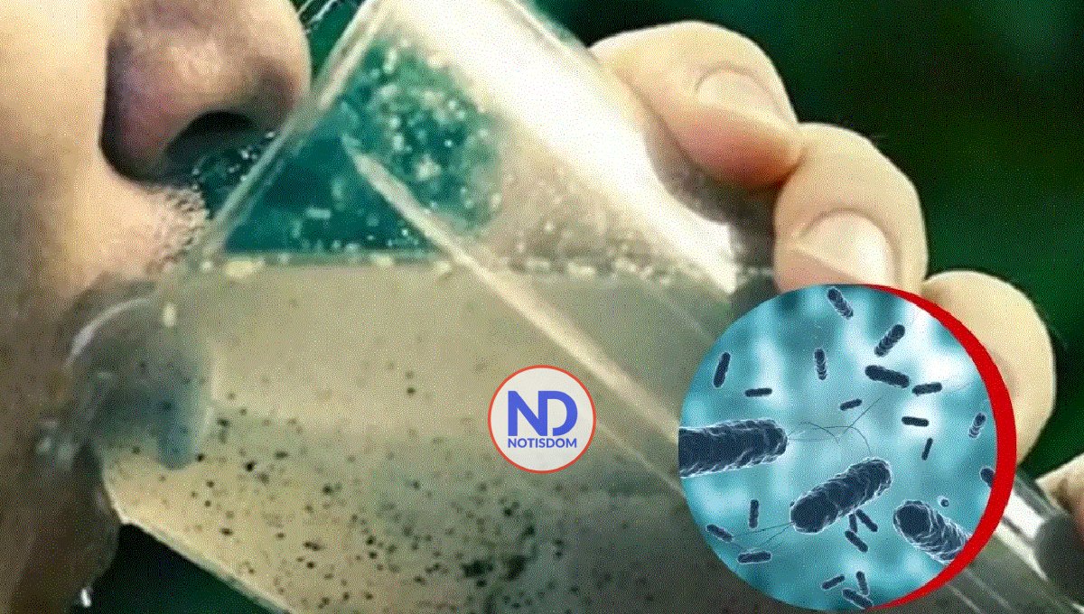 En 2023 se registraron más de 4,000 muertes globales por cólera