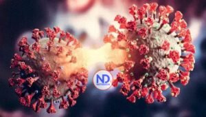 La variante BA.2.86 del covid puede ser más problemática en el pulmón