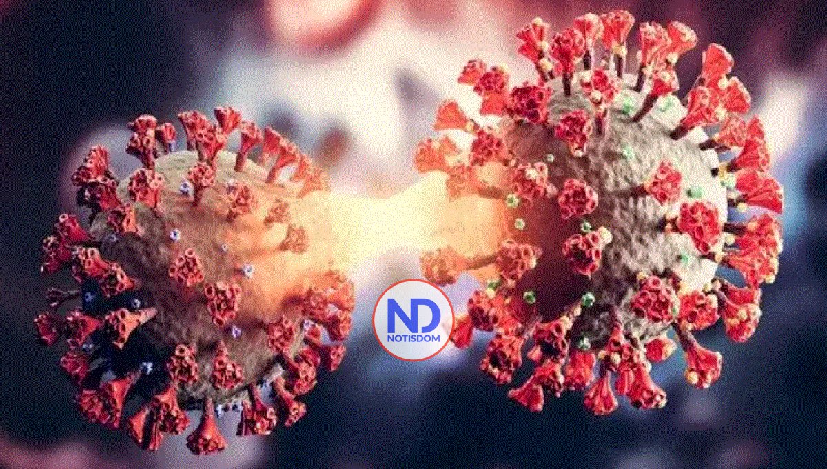 La variante BA.2.86 del covid puede ser más problemática en el pulmón