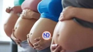 El papa Francisco pide prohibición universal de los «vientres de alquiler»