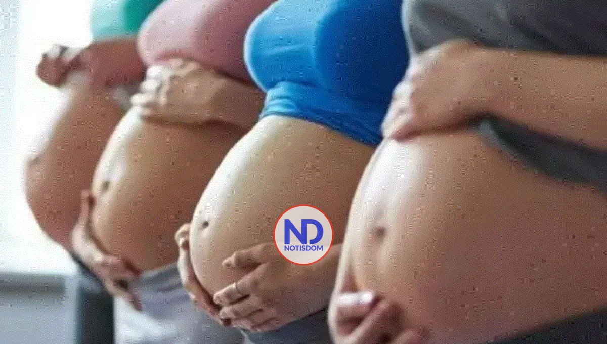 El papa Francisco pide prohibición universal de los «vientres de alquiler»