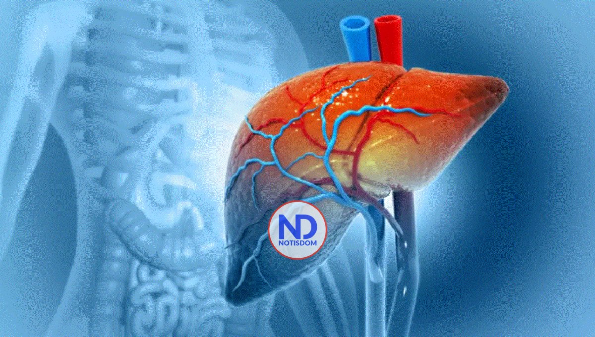 Utilizan por primera vez un hígado de cerdo para filtrar sangre humana