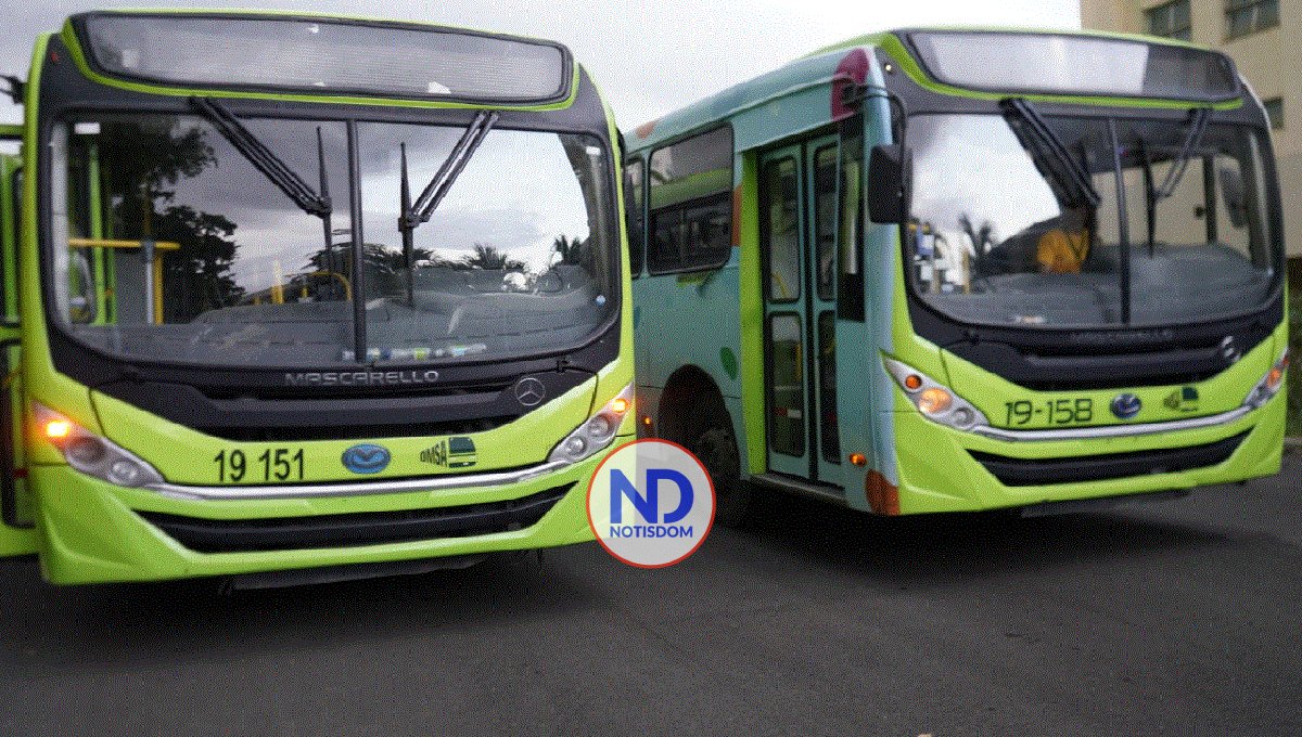 OMSA reitera trabaja en transición para convertirse en empresa pública