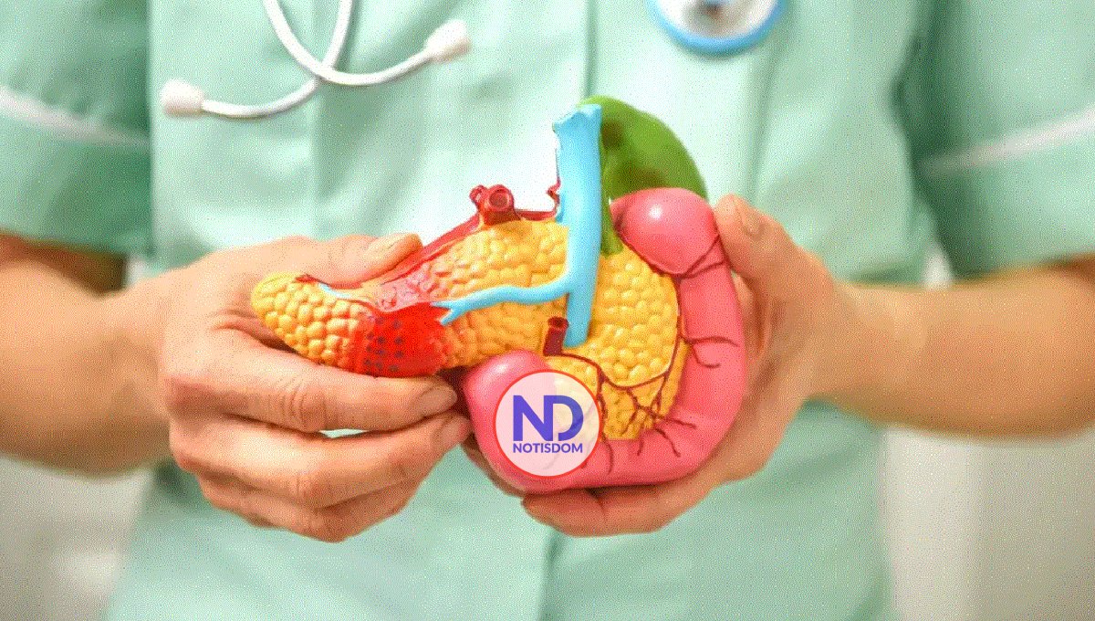 Vacuna muestra potencial frente a las recaídas de cáncer de páncreas y colon