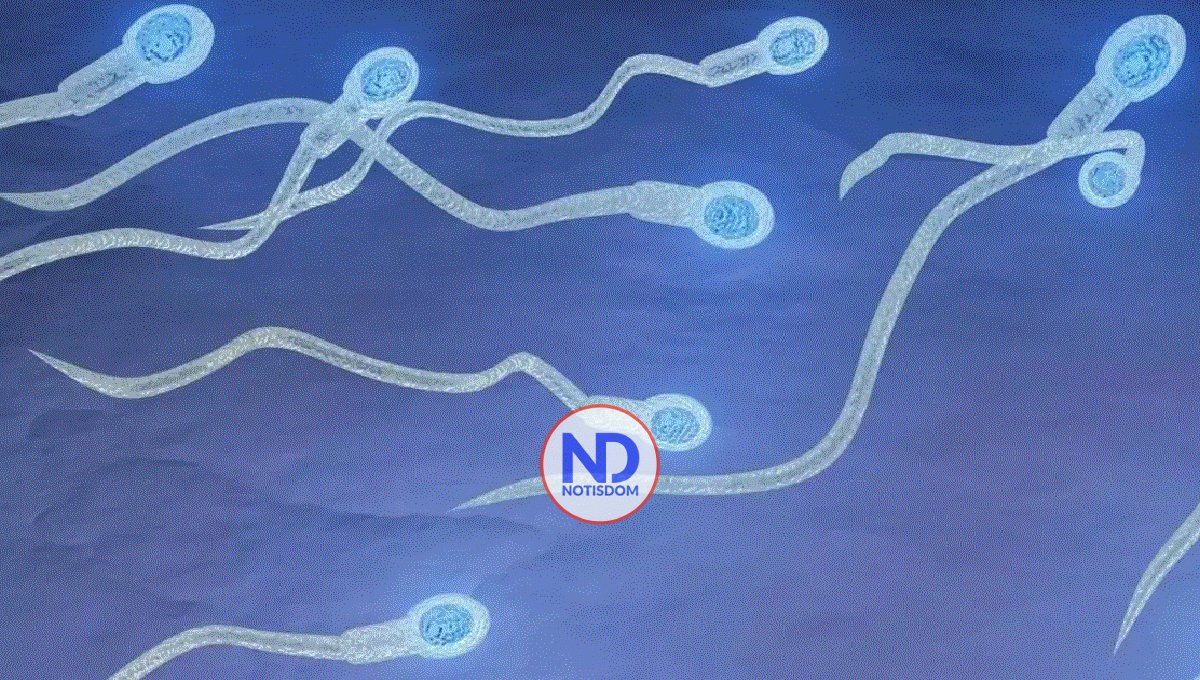 Revelan que el semen es un antidepresivo natural en las mujeres 2 Revelan que el semen es un antidepresivo natural en las mujeres