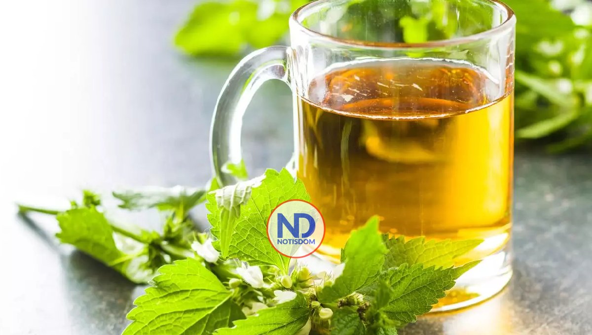 Beneficios del té blanco para la salud 2 Beneficios del té blanco para la salud