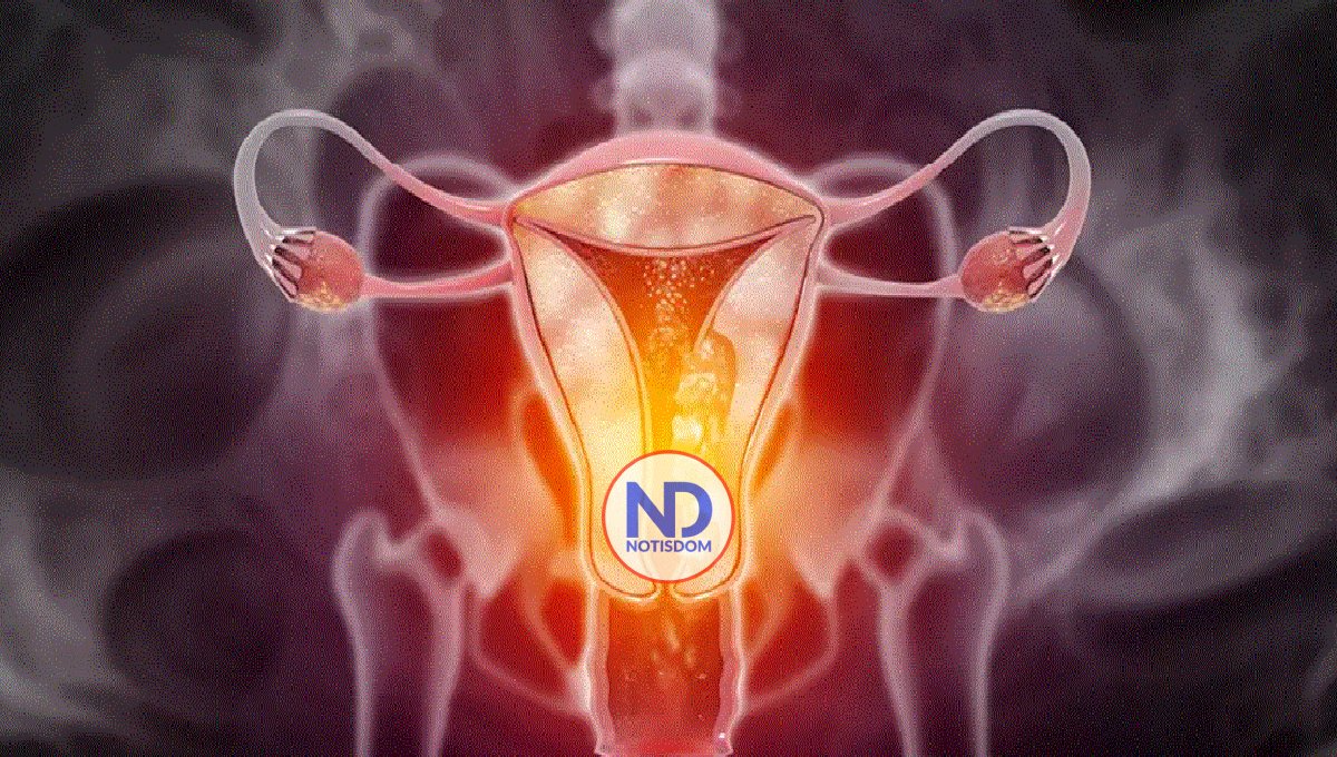 Vacunas contra VPH proponen un futuro libre de cáncer de cuello uterino