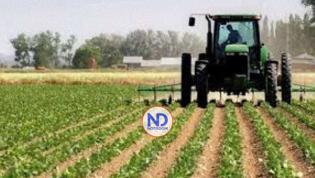 Sugieren fomentar desarrollo de Mipymes Agropecuarias en RD