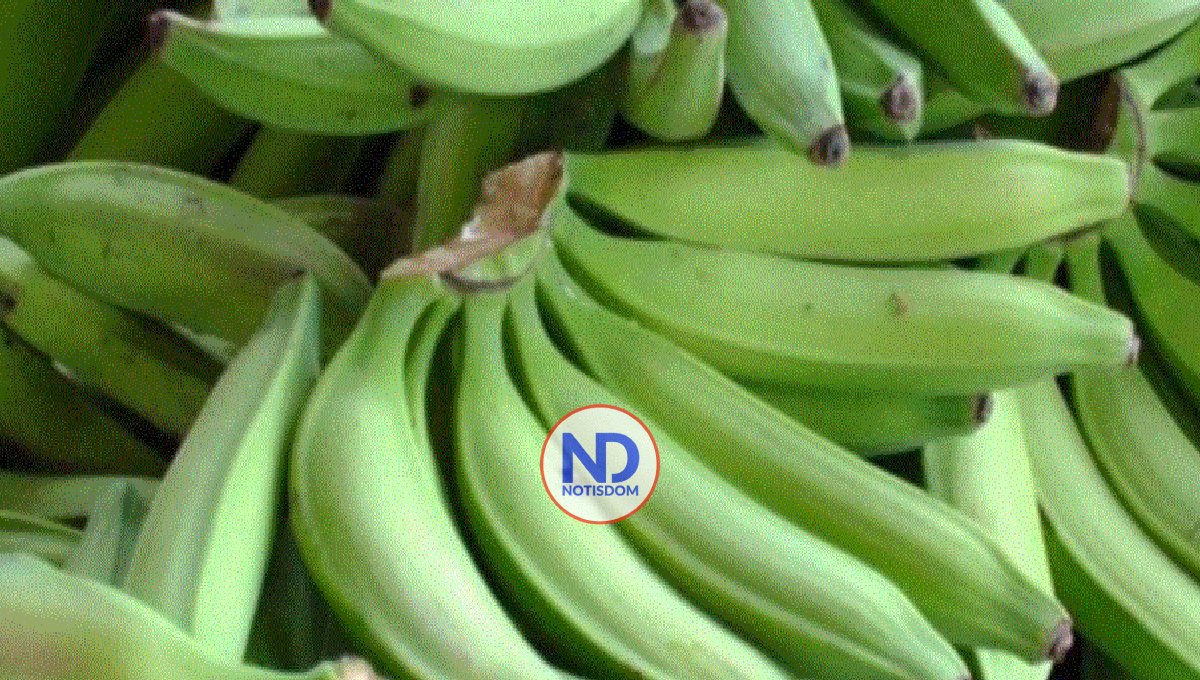 Presidente crea comisión para fortalecer producción de plátano