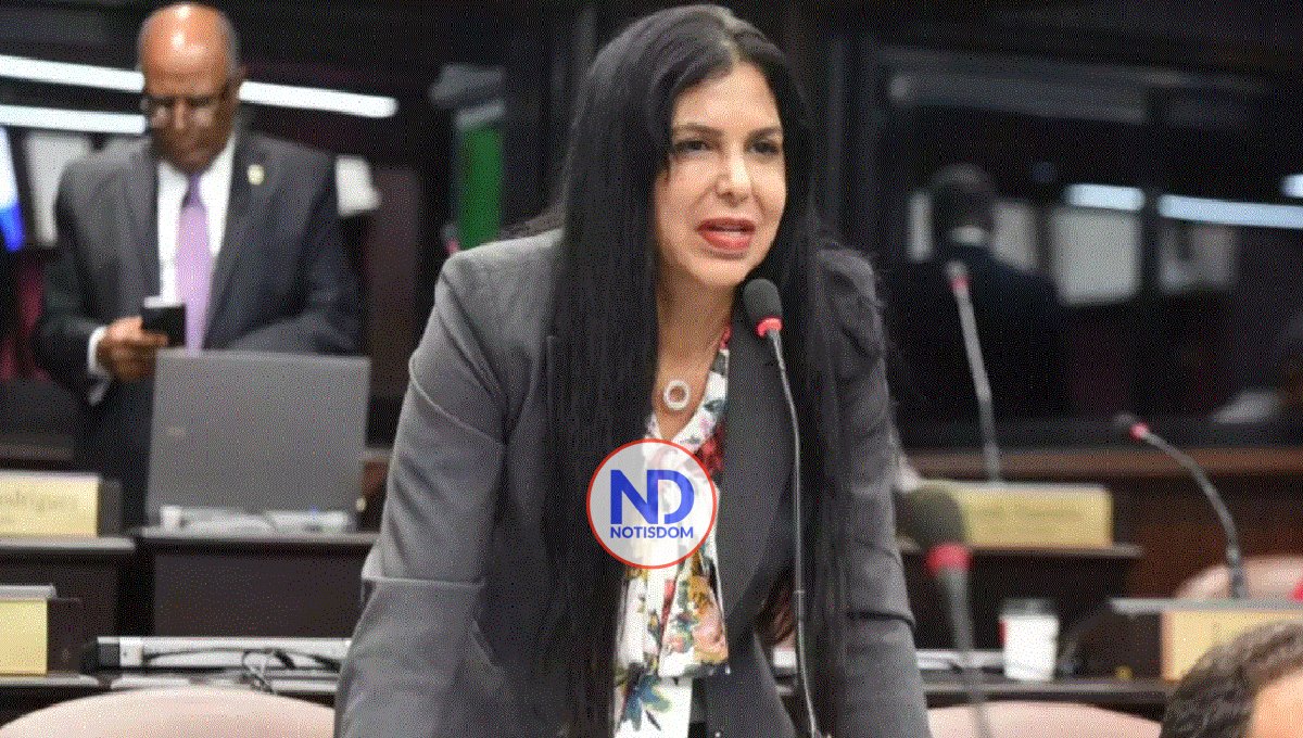 ¿Qué establecen los estatutos del PRM en el caso de la condena a diputada Rosa Amalia Pilarte?