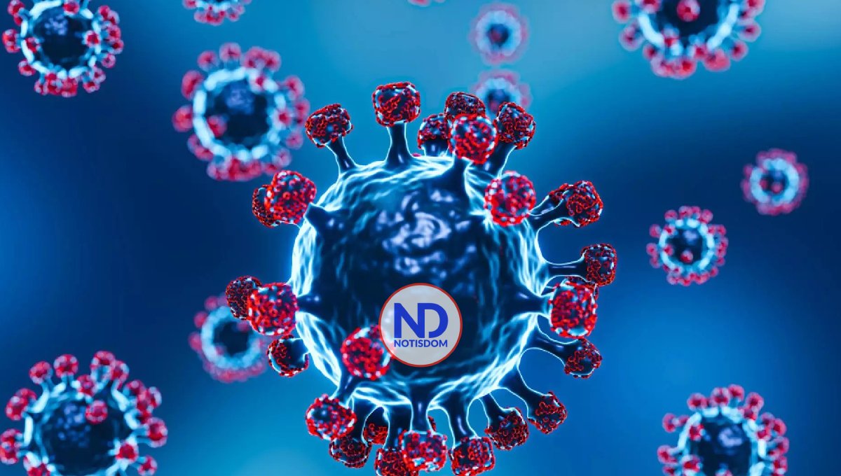 Nuevo anticuerpo logra bloquear variantes del SARS-CoV-2 en el laboratorio