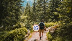 Un nuevo estudio mostró que caminar en la naturaleza agudiza la mente