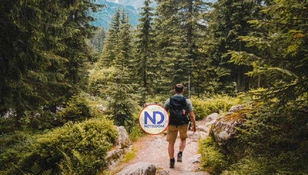 Un nuevo estudio mostró que caminar en la naturaleza agudiza la mente 2 Un nuevo estudio mostró que caminar en la naturaleza agudiza la mente