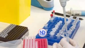 Técnica en ratones multiplica por cien potencia de células del sistema inmune contra el cáncer