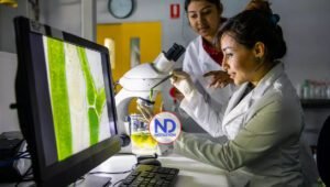 Día Internacional de las Mujeres en la Ciencia