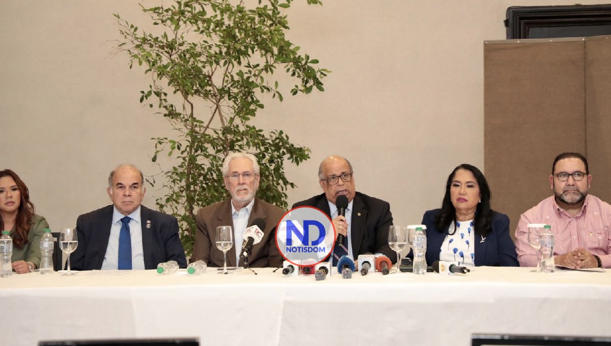 Académicos y políticos apoyan el discurso de Abinader en la ONU