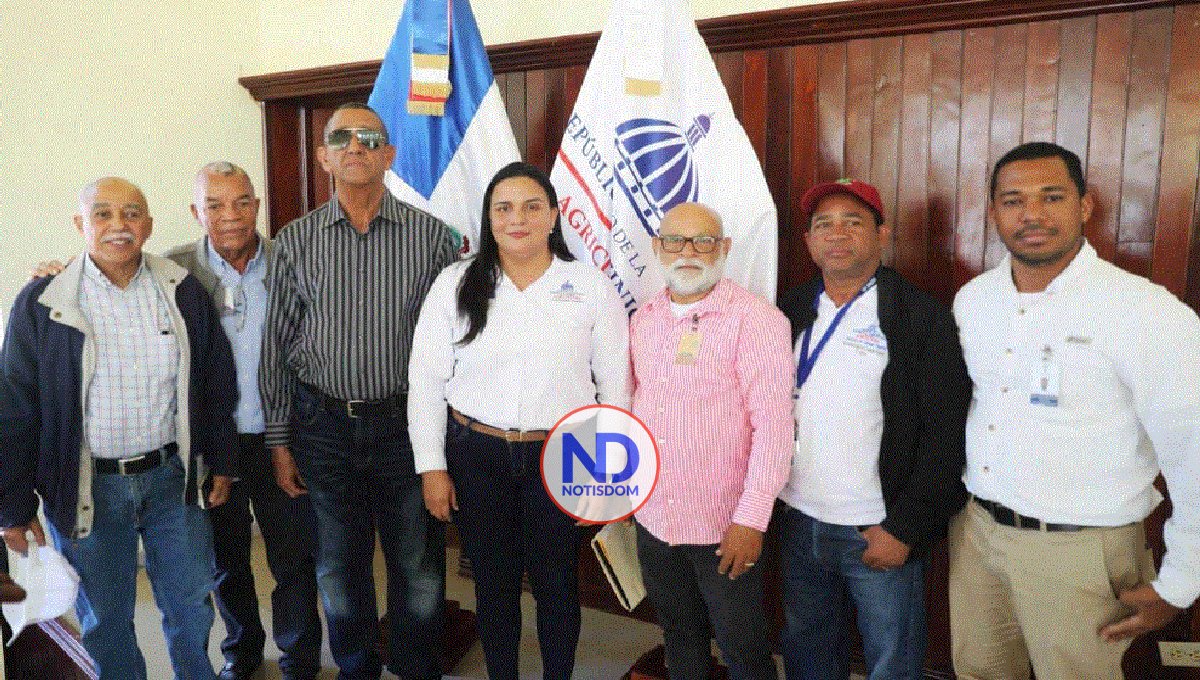 Ejecutarán plan para evitar plaga que afecta las habichuelas