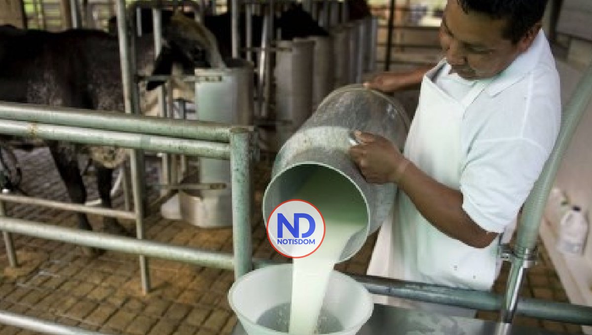 Confían RD producirá más 850 mil litros leche en 3 años
