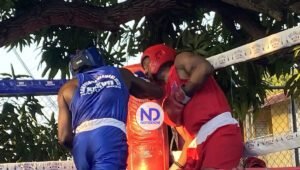 Púgiles de Santiago dominan la pre Copa Independencia