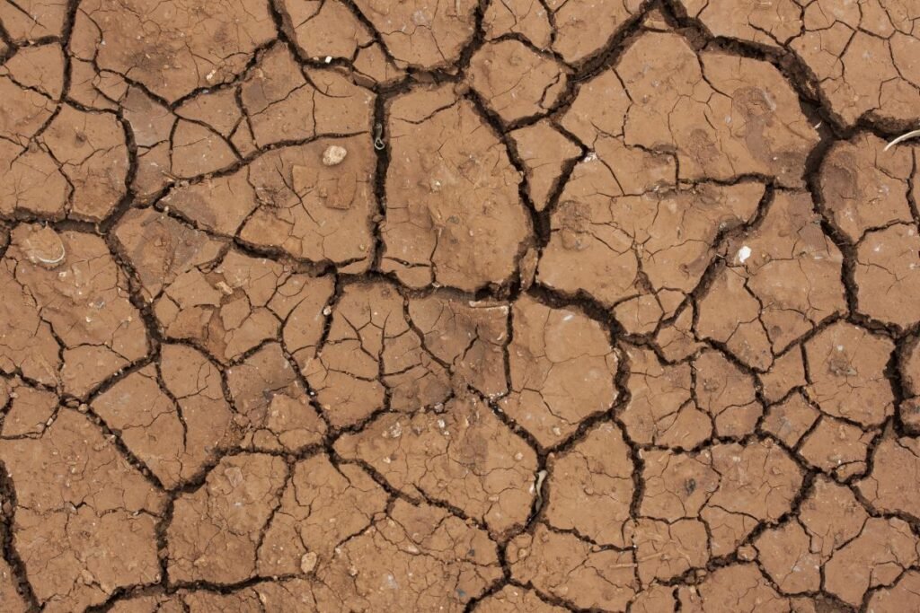 SEQUIA 3 ¡Altas temperaturas! Pronostican que este año será más caluroso que el 2023