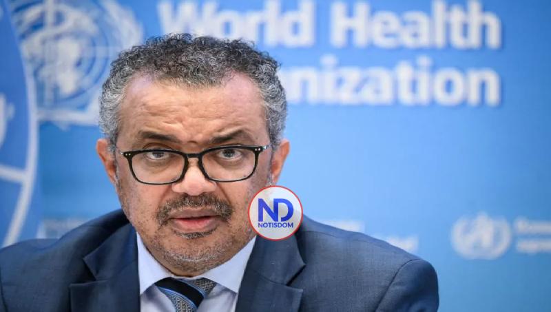 OMS advierte sobre la situación límite en Puerto Príncipe, bloqueada por mar y aire 2 OMS advierte sobre la situación límite en Puerto Príncipe, bloqueada por mar y aire