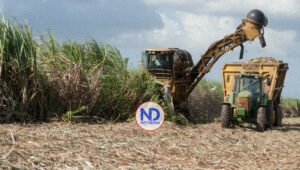 CEA alista operaciones de ingenio Porvenir con 200,000 toneladas