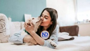 Qué enfermedades pueden transmitir nuestras mascotas