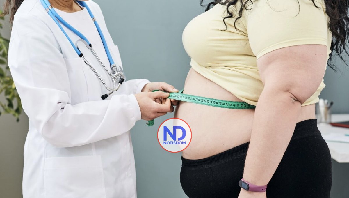 El terrible daño que conlleva una vida alta en grasas y azúcares