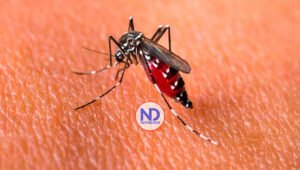 Muertes por dengue en RD crecieron en 62% y los infectados en 251% en 2023