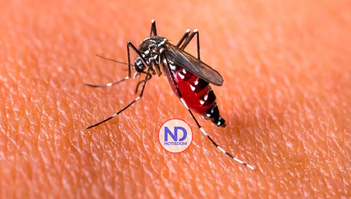 Muertes por dengue en RD crecieron en 62% y los infectados en 251% en 2023