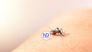 Ante el aumento significativo de casos de dengue ¿Qué debe saber usted para protegerse?