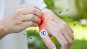 Día Mundial del Paludismo