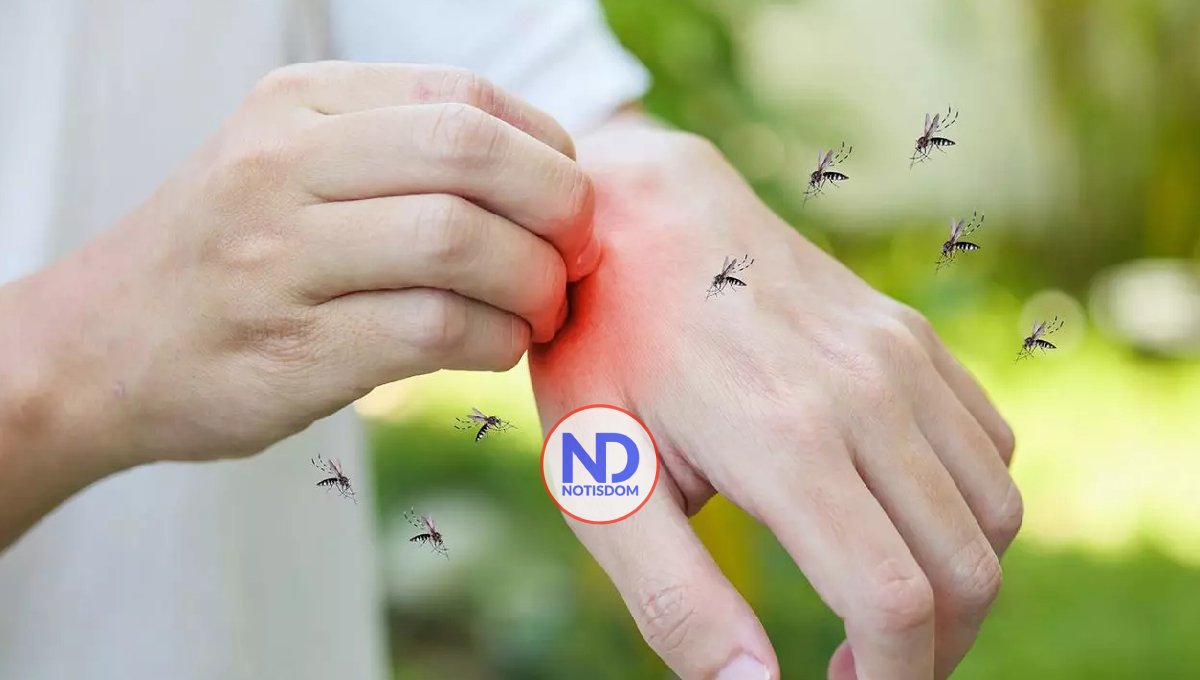 Día Mundial del Paludismo