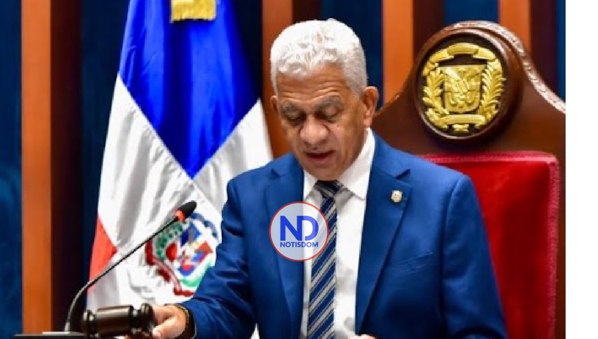 Tilda de irresponsables denuncias ante la OEA de opositores de la RD