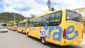 Extenderán San Juan y Barahona trasporte gratis a los estudiantes 