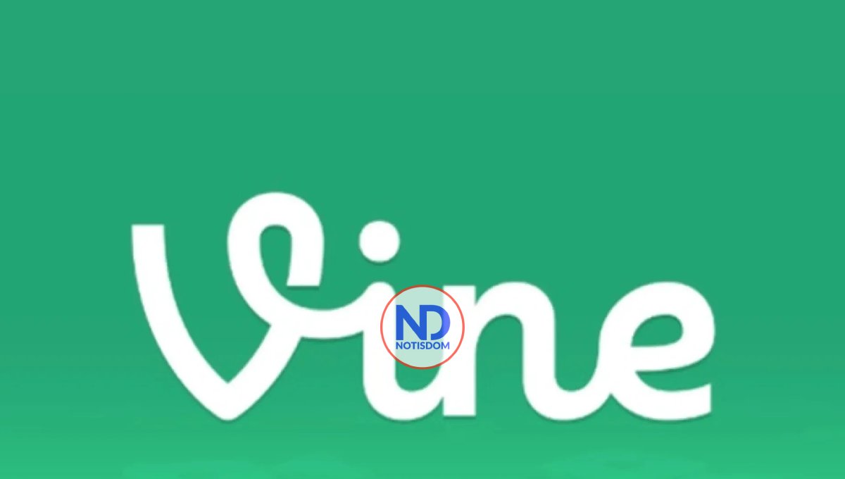 Elon Musk quiere reabrir la red social Vine para competir con TikTok
