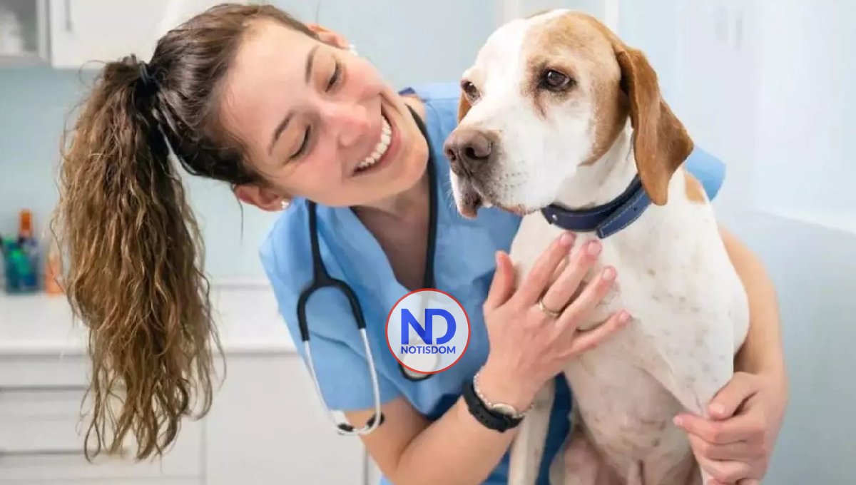 Día Mundial del Veterinario