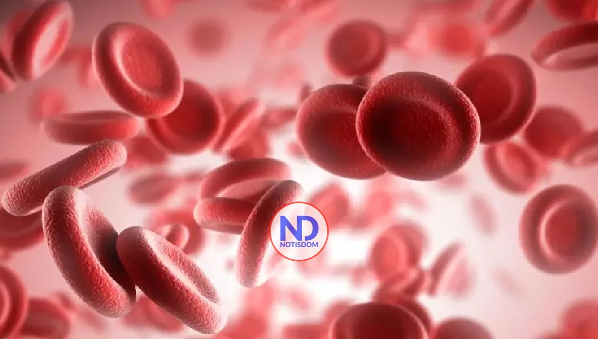 Advierten retos para diagnosticar y tratar enfermedades raras en Latinoamérica 2 Advierten retos para diagnosticar y tratar enfermedades raras en Latinoamérica