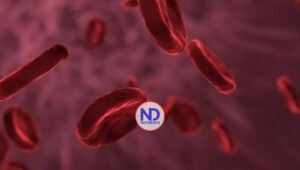 Día Mundial de la hemofilia, la enfermedad hereditaria que más afecta a los hombres